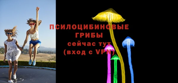 PSILOCYBIN Армянск