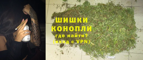 PSILOCYBIN Армянск
