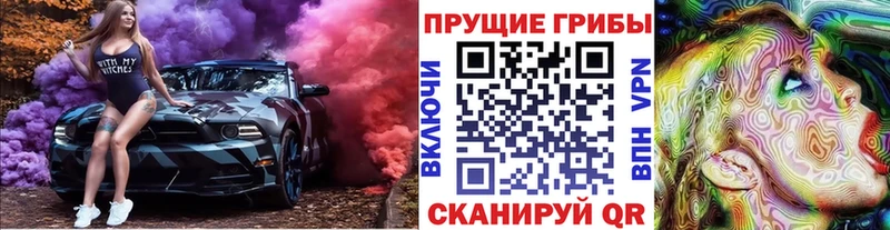 это телеграм  как найти закладки  Ржев  Галлюциногенные грибы Psilocybine cubensis 